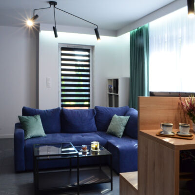 AFG Studio - architektura wnętrz - dwupoziomowe mieszkanie Rybnik - salon
