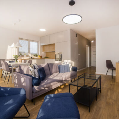 AFG Studio - architektura wnętrz - mieszkanie Gliwice 1- salon